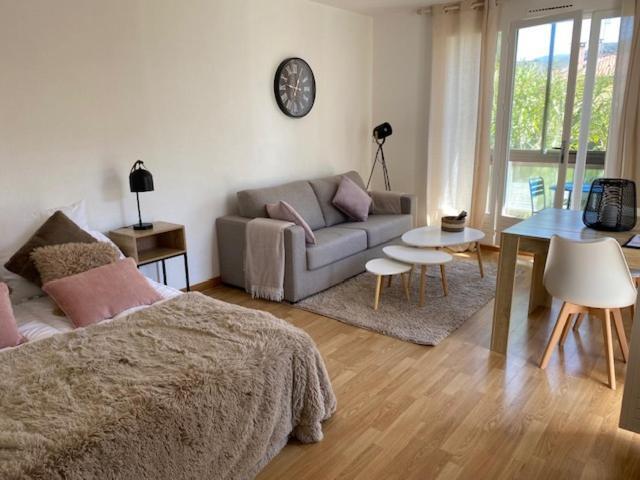 Studio 33 M2 , Climatise, Parking Exterieur Prive Gratuit Amélie-les-Bains-Palalda Екстериор снимка